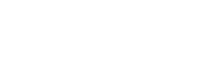 SSE Cricket Institute